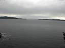 ./images/koeye/fitz-hugh/20160219/fitz-hugh20160219_122402.jpg