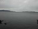 ./images/koeye/fitz-hugh/20160219/fitz-hugh20160219_125702.jpg