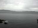 ./images/koeye/fitz-hugh/20160219/fitz-hugh20160219_132703.jpg