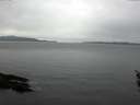./images/koeye/fitz-hugh/20160219/fitz-hugh20160219_140003.jpg