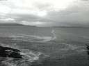 ./images/koeye/fitz-hugh/20160220/fitz-hugh20160220_065704.jpg