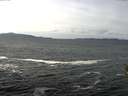 ./images/koeye/fitz-hugh/20160220/fitz-hugh20160220_121501.jpg
