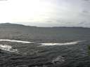 ./images/koeye/fitz-hugh/20160220/fitz-hugh20160220_121802.jpg