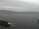 ./images/koeye/fitz-hugh/20160221/fitz-hugh20160221_065706.jpg