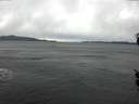 ./images/koeye/fitz-hugh/20160221/fitz-hugh20160221_115707.jpg