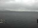 ./images/koeye/fitz-hugh/20160221/fitz-hugh20160221_140003.jpg