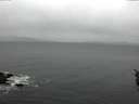 ./images/koeye/fitz-hugh/20160221/fitz-hugh20160221_142702.jpg