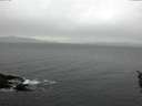 ./images/koeye/fitz-hugh/20160221/fitz-hugh20160221_145702.jpg