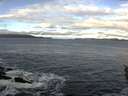 ./images/koeye/fitz-hugh/20160222/fitz-hugh20160222_092705.jpg