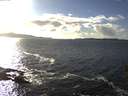 ./images/koeye/fitz-hugh/20160222/fitz-hugh20160222_152703.jpg
