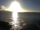 ./images/koeye/fitz-hugh/20160222/fitz-hugh20160222_165704.jpg