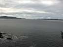 ./images/koeye/fitz-hugh/20160223/fitz-hugh20160223_105707.jpg