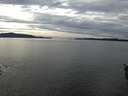 ./images/koeye/fitz-hugh/20160223/fitz-hugh20160223_140003.jpg