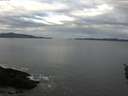 ./images/koeye/fitz-hugh/20160224/fitz-hugh20160224_085705.jpg