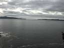 ./images/koeye/fitz-hugh/20160224/fitz-hugh20160224_142702.jpg