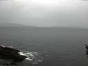 ./images/koeye/fitz-hugh/20160226/fitz-hugh20160226_080002.jpg