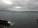./images/koeye/fitz-hugh/20160226/fitz-hugh20160226_092705.jpg