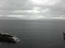 ./images/koeye/fitz-hugh/20160226/fitz-hugh20160226_105706.jpg