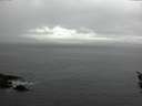 ./images/koeye/fitz-hugh/20160226/fitz-hugh20160226_122702.jpg