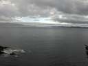 ./images/koeye/fitz-hugh/20160226/fitz-hugh20160226_125702.jpg