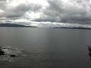 ./images/koeye/fitz-hugh/20160226/fitz-hugh20160226_132702.jpg