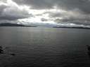 ./images/koeye/fitz-hugh/20160226/fitz-hugh20160226_140002.jpg