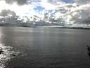./images/koeye/fitz-hugh/20160226/fitz-hugh20160226_145704.jpg