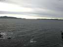./images/koeye/fitz-hugh/20160227/fitz-hugh20160227_160002.jpg