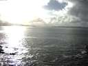 ./images/koeye/fitz-hugh/20160228/fitz-hugh20160228_155703.jpg