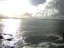 ./images/koeye/fitz-hugh/20160228/fitz-hugh20160228_160001.jpg