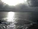 ./images/koeye/fitz-hugh/20160228/fitz-hugh20160228_162702.jpg