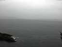 ./images/koeye/fitz-hugh/20160301/fitz-hugh20160301_135703.jpg
