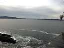./images/koeye/fitz-hugh/20160302/fitz-hugh20160302_135702.jpg
