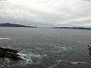 ./images/koeye/fitz-hugh/20160302/fitz-hugh20160302_155704.jpg