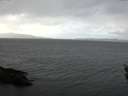 ./images/koeye/fitz-hugh/20160303/fitz-hugh20160303_122102.jpg