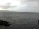 ./images/koeye/fitz-hugh/20160303/fitz-hugh20160303_122403.jpg