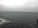 ./images/koeye/fitz-hugh/20160304/fitz-hugh20160304_075705.jpg