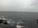 ./images/koeye/fitz-hugh/20160304/fitz-hugh20160304_122103.jpg