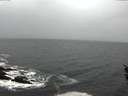 ./images/koeye/fitz-hugh/20160304/fitz-hugh20160304_122403.jpg