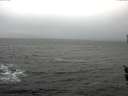 ./images/koeye/fitz-hugh/20160305/fitz-hugh20160305_095706.jpg