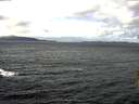 ./images/koeye/fitz-hugh/20160306/fitz-hugh20160306_115706.jpg