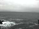 ./images/koeye/fitz-hugh/20160307/fitz-hugh20160307_075705.jpg