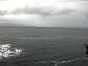 ./images/koeye/fitz-hugh/20160307/fitz-hugh20160307_095706.jpg