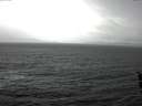 ./images/koeye/fitz-hugh/20160307/fitz-hugh20160307_121503.jpg