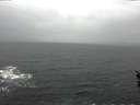 ./images/koeye/fitz-hugh/20160307/fitz-hugh20160307_122402.jpg