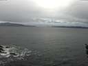 ./images/koeye/fitz-hugh/20160308/fitz-hugh20160308_095705.jpg
