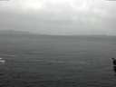 ./images/koeye/fitz-hugh/20160308/fitz-hugh20160308_115705.jpg