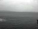 ./images/koeye/fitz-hugh/20160308/fitz-hugh20160308_121502.jpg