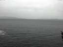 ./images/koeye/fitz-hugh/20160308/fitz-hugh20160308_121802.jpg