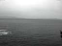 ./images/koeye/fitz-hugh/20160308/fitz-hugh20160308_122401.jpg